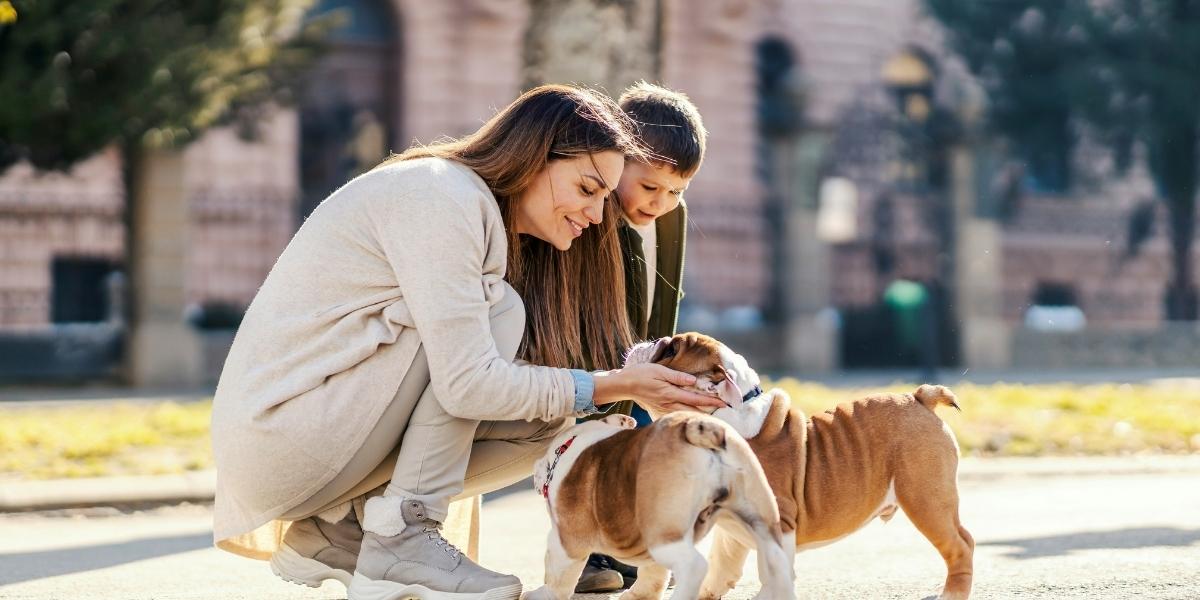 Why Pet-Friendly Towns Are Becoming Popular in the U.S.