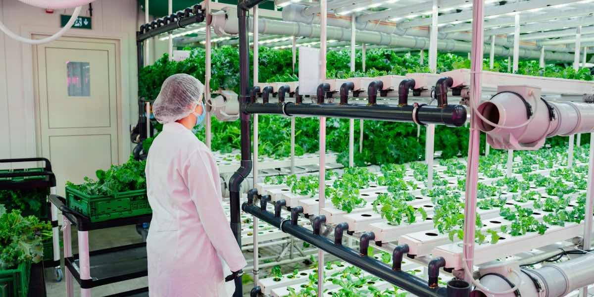 Factors Driving Agri-Tech Development in Southern Regions